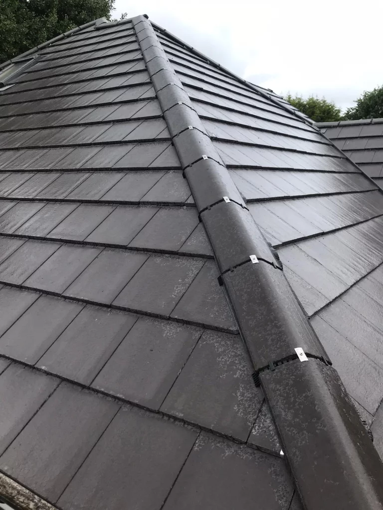 Ridge Work AntiAqua Roofing Solutions Leeds