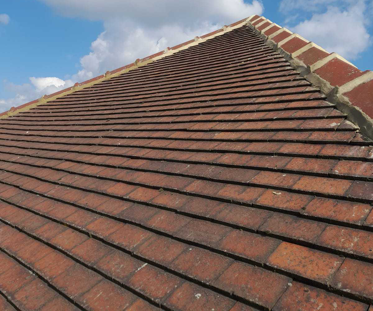 Completed roof with ridge vents